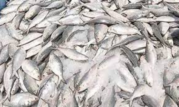 Jatka conservation week begins today & concludes on April 13