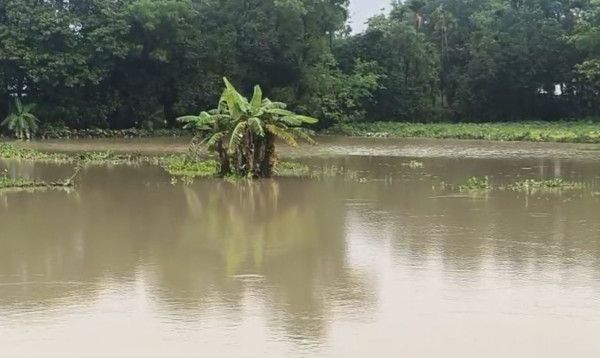 হবিগঞ্জে নদ-নদীর পানি কমতে শুরু করলেও দুর্ভোগ কাটেনি বন্যার্তদের