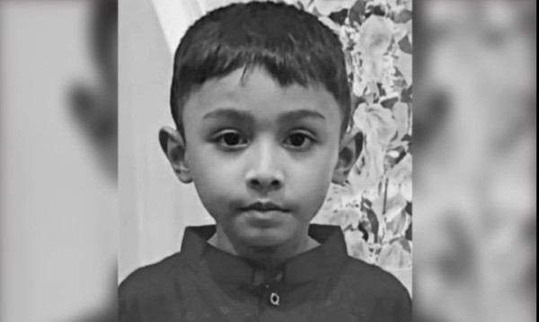 ভিমরুলের কামড়ে প্রাণ গেল প্রবাসীর ৭ বছরের শিশুর