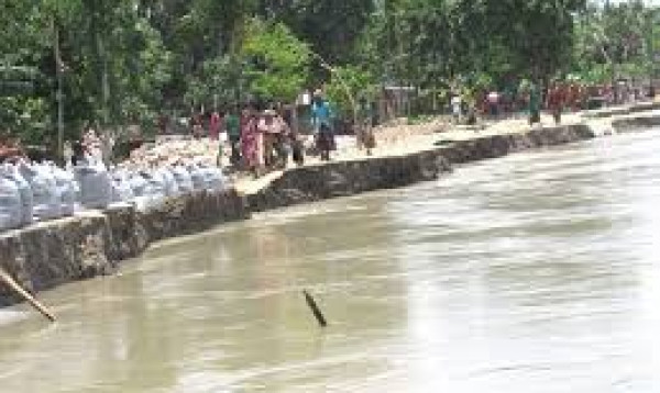 Severe river erosion hits Jamalpur’s old Brahmaputra