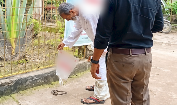 স্ত্রীকে গোখরা সাপের ছোবল, সাপ মেরে ব্যাগে ভরে হাসপাতালে নিলেন স্বামী