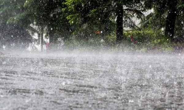 দেশের সব বিভাগে বৃষ্টির পূর্বাভাস, কমতে পারে গরম