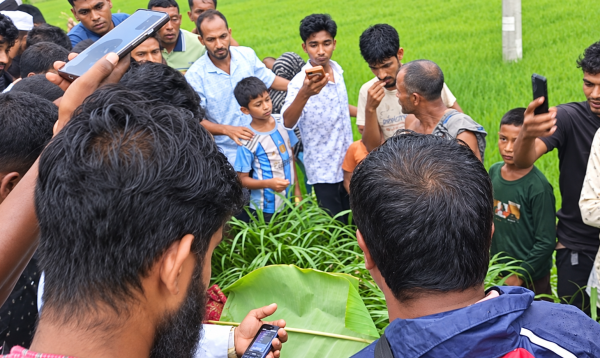 নীলফামারীতে শ্বশুরবাড়ি যাওয়ার পথে সড়ক দুর্ঘটনায় প্রাণ গেল নবদম্পতির