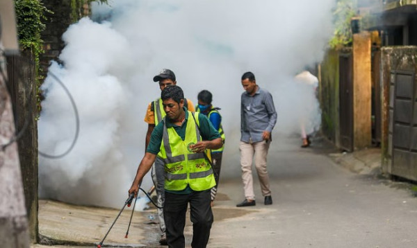 ডেঙ্গু প্রতিরোধে কনটেন্ট ক্রিয়েটরদের মাঠে নামার আহ্বান প্রতিমন্ত্রীর