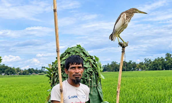 শেরপুরে পাখি শিকারের দায়ে শিকারির ৫০ টাকা জরিমানা ও ৭ দিনের কারাদণ্ড