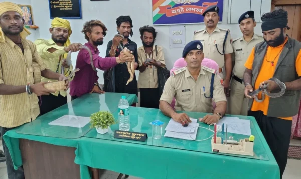 ভারতে ট্রেনযাত্রীদের সাপ দেখিয়ে টাকা আদায়ের অভিযোগে আটক ৬