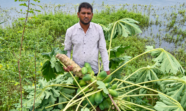সাতক্ষীরায় ঘেরে হামলা ও লুটপাটের অভিযোগ জামায়াত নেতার বিরুদ্ধে, ১০ লাখ টাকার ক্ষতি