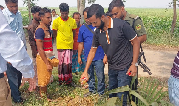 নাটোরের সিংড়ায় শিকার করা ৫০ বক উদ্ধার, ৫ জনের সাজা