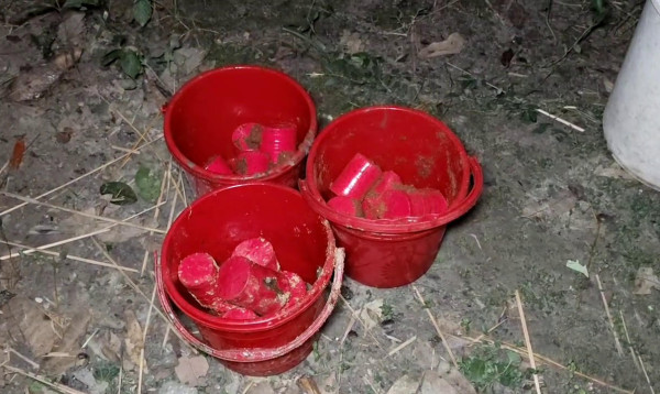 চাঁপাইনবাবগঞ্জে লেবুবাগানে মাটির নিচে পুঁতে রাখা ১৭টি তাজা ককটেল উদ্ধার