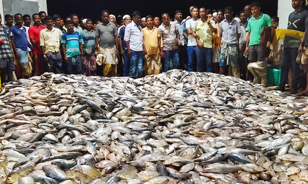 সীতাকুণ্ডে ৭০০০ কেজি ইলিশ জব্দ করে বিলানো হলো ২৫ এতিমখানায়