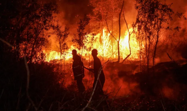 দাবানলে পুড়ছে ইন্দোনেশিয়া, আগুন নেভাতে গিয়ে নিহত ৪