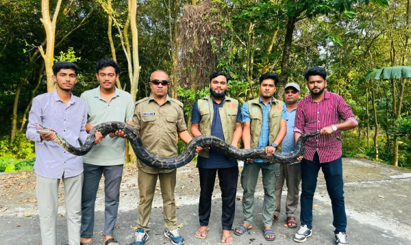 চট্টগ্রামের মিরসরাইয়ে ১২ ফুটের বিশাল অজগর উদ্ধার, গহিন বনে অবমুক্ত