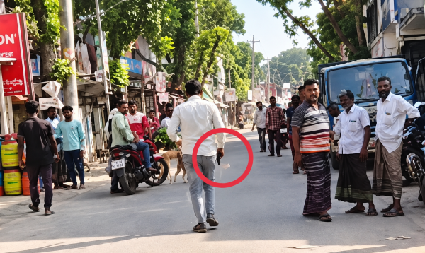 যশোরের শার্শায় প্রকাশ্যে পিস্তল প্রদর্শনের অভিযোগ, থানায় জিডি