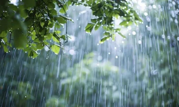 আগামী ৫ দিনে বৃষ্টির পূর্বাভাস