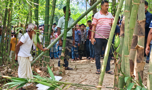 কুমিল্লায় বাঁশঝাড় থেকে ৮০ বছরের বৃদ্ধের মরদেহ উদ্ধার