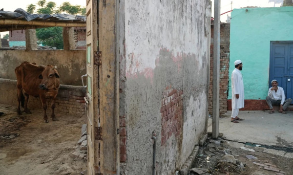 ‘অপারেশন ল্যাংড়া’ নামে গরু পাচারের অভিযোগ তুলে উত্তর প্রদেশে মুসলিমদের পঙ্গু করছে পুলিশ!