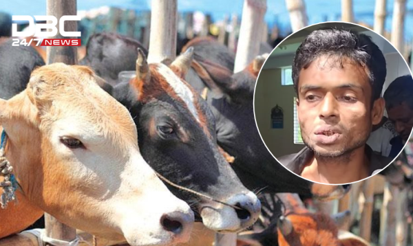 পটিয়ায় গরু জবাই করে মাংস নিয়ে পালানোর সময় সিএনজিচালক আটক