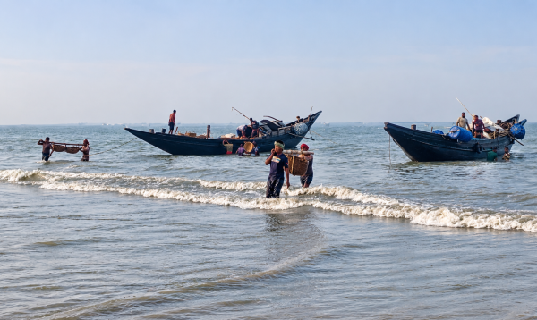 ২২ দিনের নিষেধাজ্ঞা শেষে সুন্দরবনের দুবলার চরে শুঁটকির মৌসুম শুরু